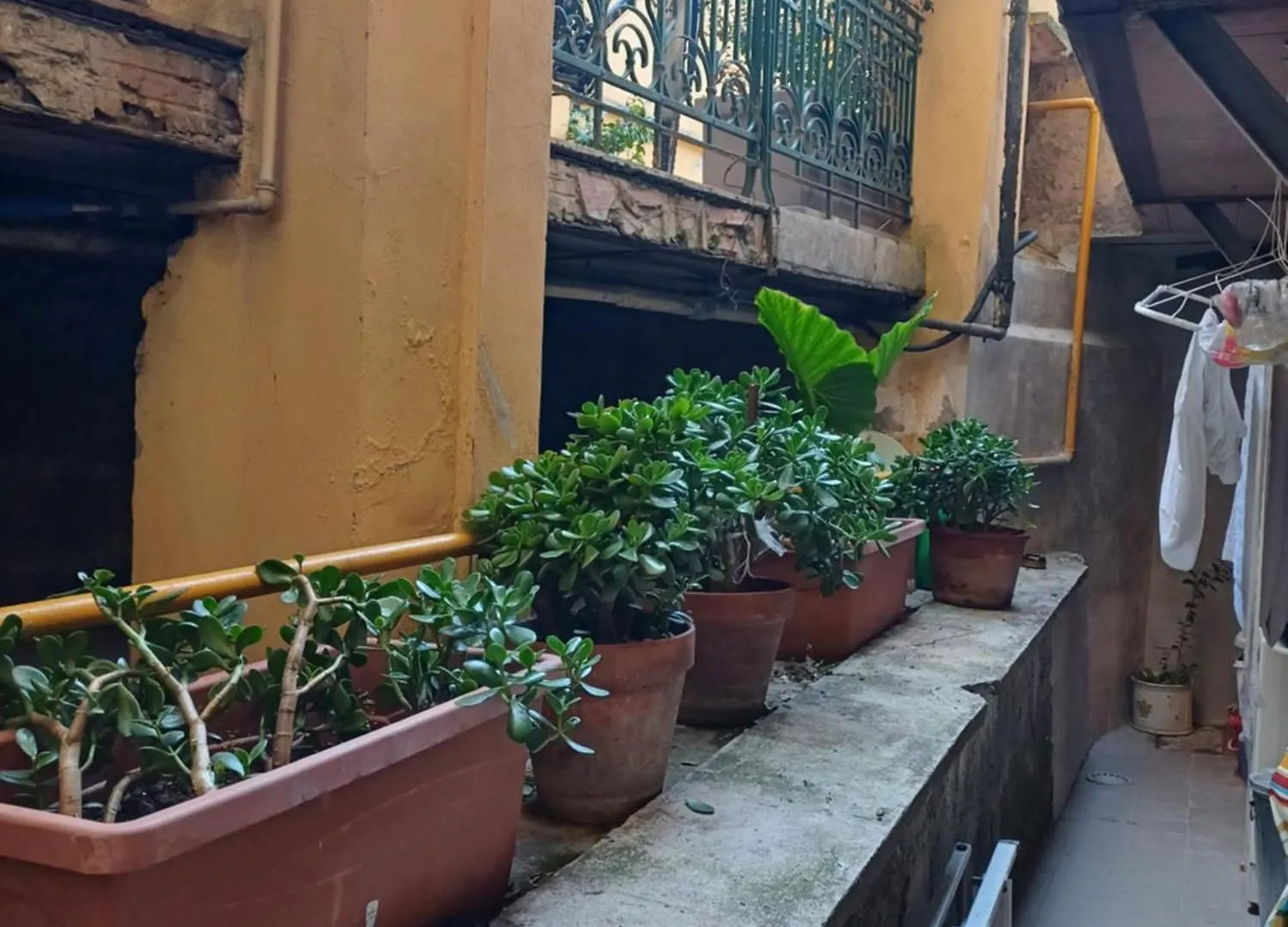 Appartamento Gianicolo Sweet Home Roma